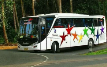 Bus Pariwisata Star Bus